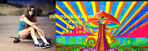 герыч Каменногорск