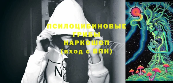 герыч Каменногорск