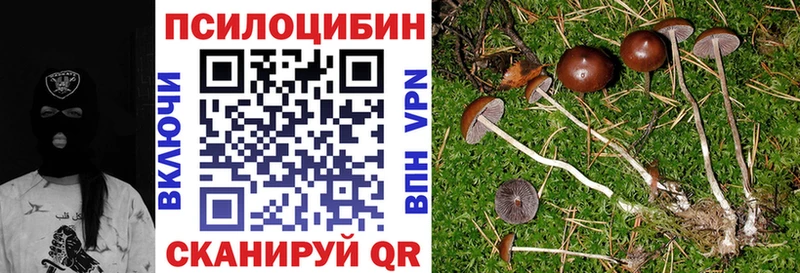 Псилоцибиновые грибы прущие грибы  Купить закладки  Дивногорск 